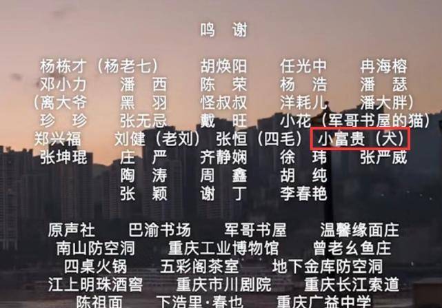 精准一肖100%免费｜百分之百精准预测，完全免费_2024年的警示