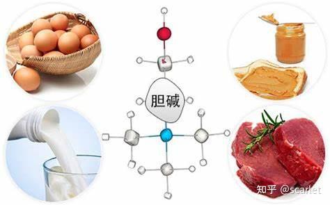 聚焦热点 第239页