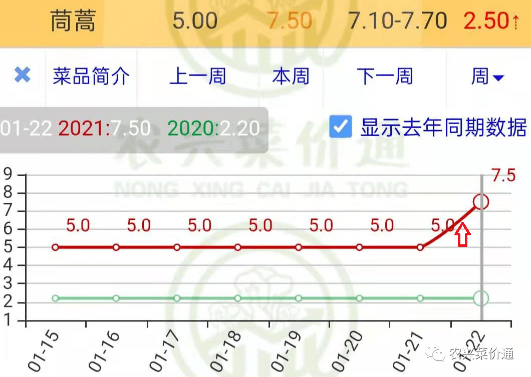 蒜苗产地价格最新行情，蒜苗市场价格动态