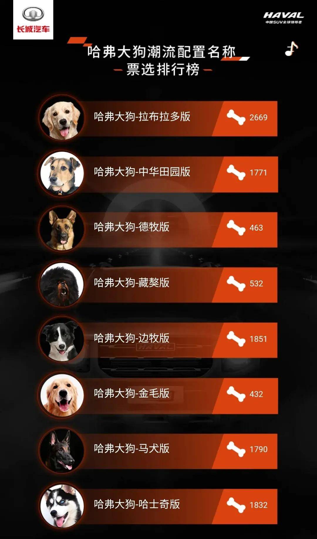 哈佛名犬精选推荐，价格惊喜来袭！