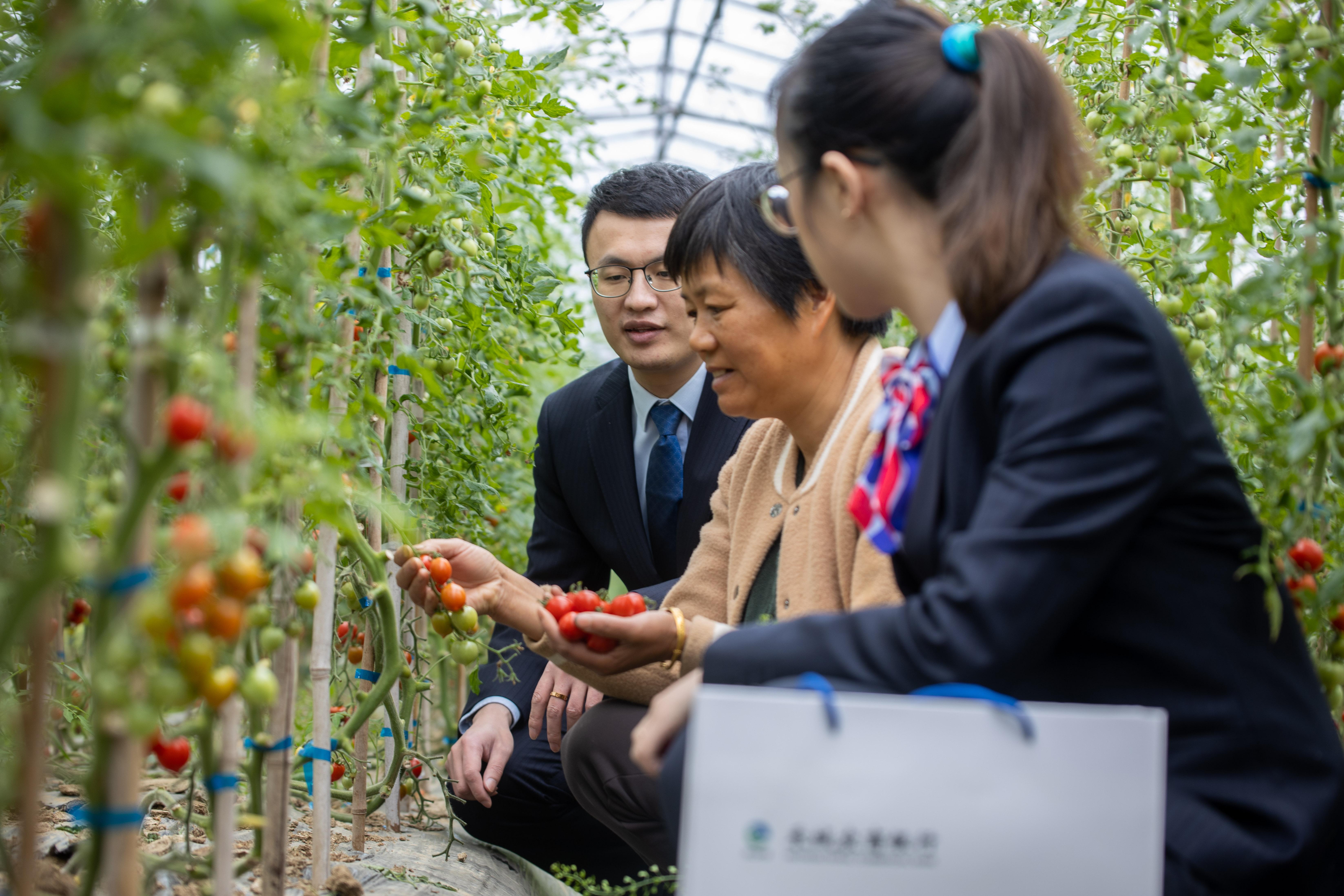 嘉兴新居梦想开启：最新入户政策利好来袭！