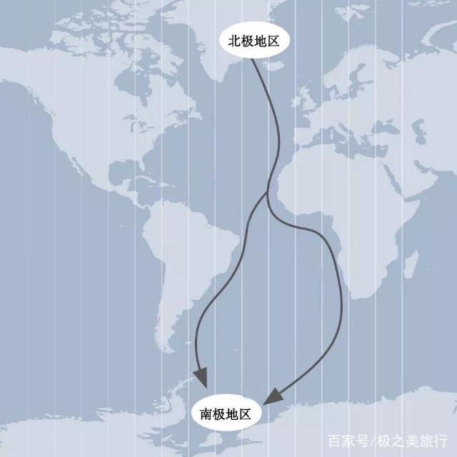 海高斯新航向，璀璨轨迹再升级