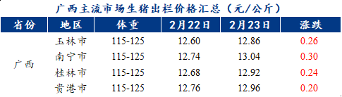 广西猪市行情看涨，喜讯连连！