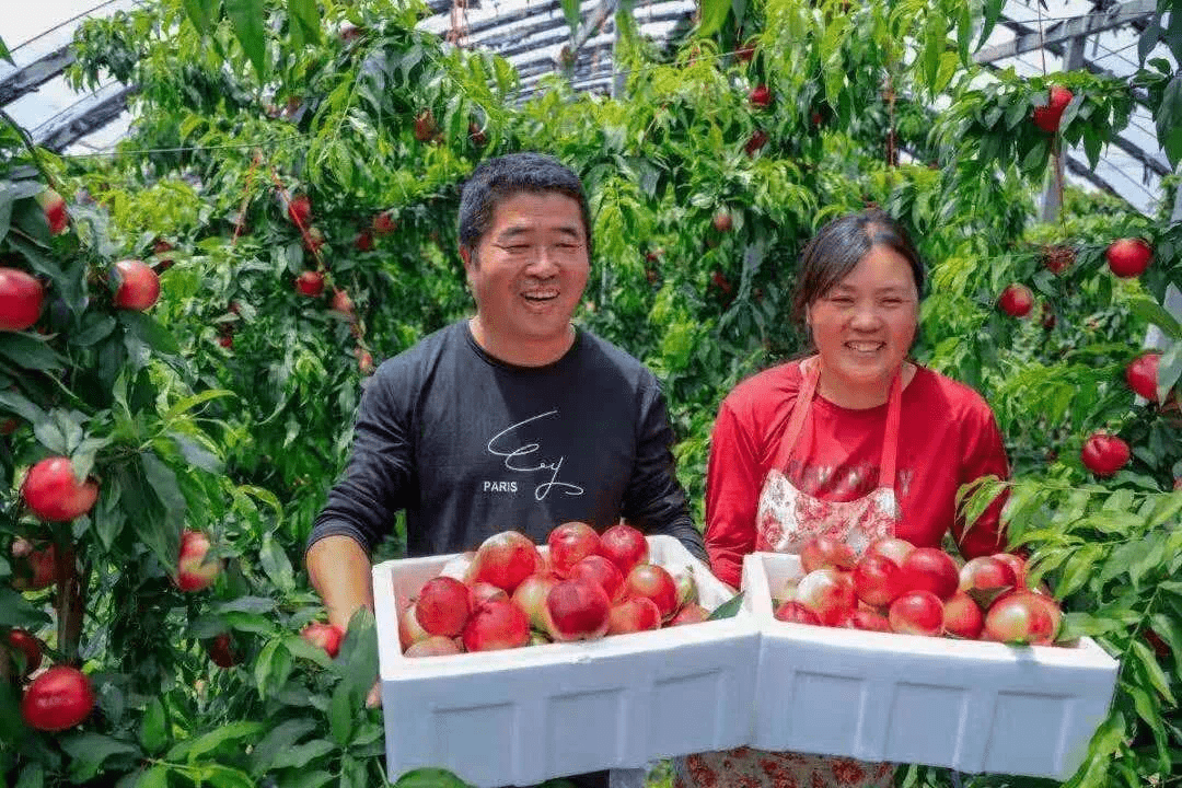 今日银价闪耀，最新报价为您开启财富之门